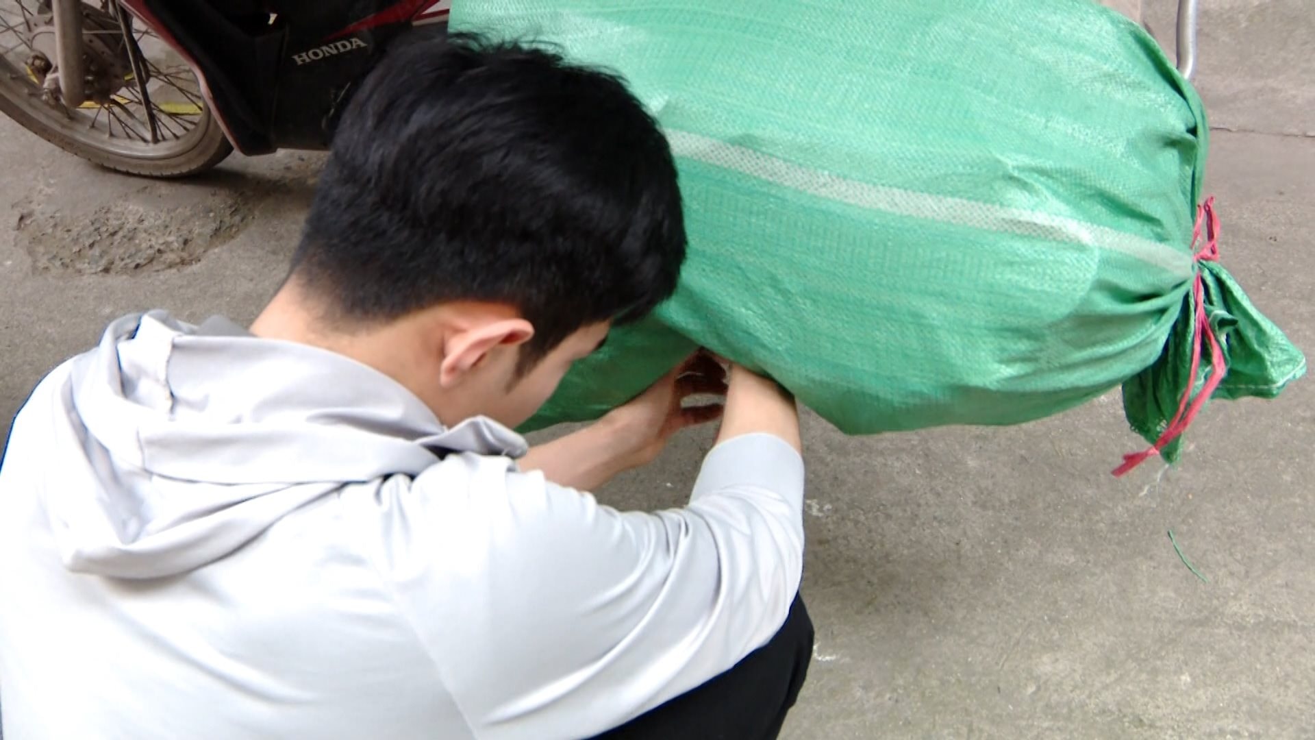 Những chuyến xe thu gom rác tận nhà đã cùng các thành viên Go Green rong ruổi khắp thành phố để giúp môi trường trở nên trong sạch hơn